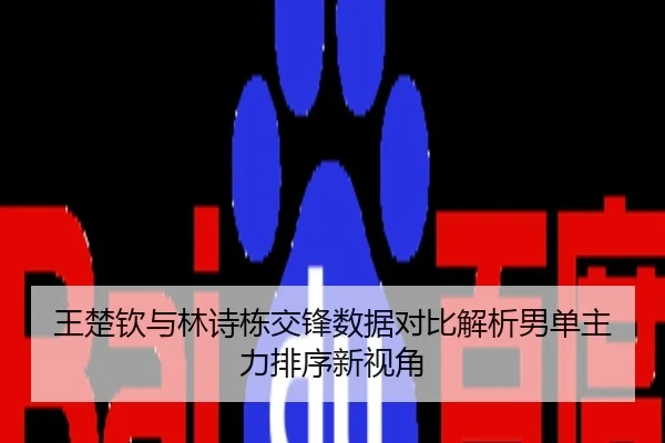 王楚钦与林诗栋交锋数据对比解析男单主力排序新视角